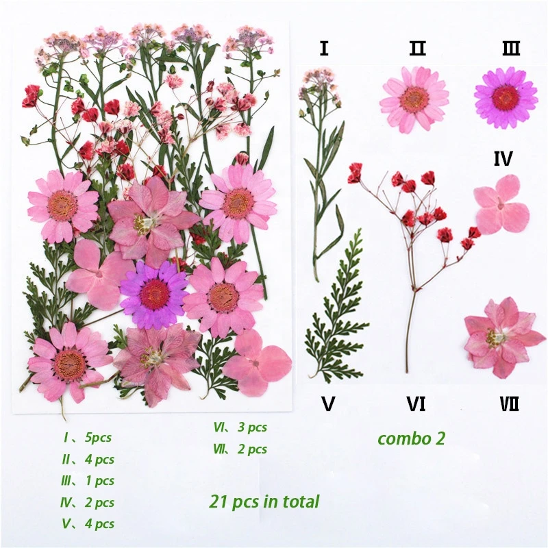 Queen annes lace rose chrysanthemum daisy delphinium real dried pressed flowers for resin crafts frame phone case making