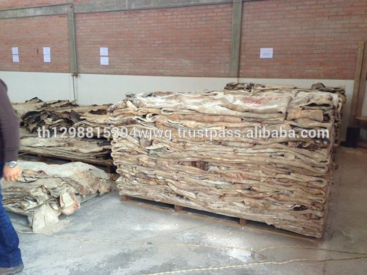 Buy Raw Wet Salted Cattle Hides Cow Skins /buffalo Hides For Sale