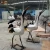 Import Realistic life size sculpture animatronic white crane for lake decoration from China