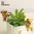Import Roogo resin funny animal pet Chow Chow dog statues for tables from China
