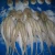 Import Sea Frozen Octopus Cleaned hot sales in Thailand from Thailand