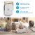 Import Self-generation wireless doorbell without battery button 200M outdoor 50M indoor from China
