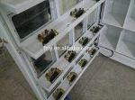 self-service supermarket vending machine with telemetry technology