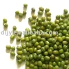 Sell Chinese Small Green Mung Bean