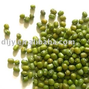 Sell Chinese Small Green Mung Bean