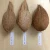 Import Semi Husked Husk Type Dried Style Matured Brown Coconuts from India