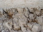 sepiolite