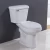 Import Single Flush Comfort Height ADA compliant Two Piece Toilet from China