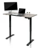 sit stand up computer home height adjustable Electric standing desk 55 x 28 Inch