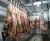 Import slaughter tools beef slaughtering hook meat hanging trolley from China