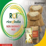 Sona Masoori Non Basmati Rice