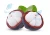 Import Spazies brand export premium quality Mangosteen Fresh Fruit from thailand Mangosteen Fresh Fruit from Thailand