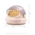 Import Splash-Proof Odor-Proof Pet Portable Space Capsule Closed Training System Cat Toilet from China