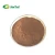 Import Spray drying bulk red instant cocoa powder from China