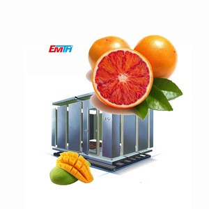Store Fruits Container Cooling Unit Cold Room For fruits cold room