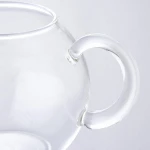 Stovetop Safe Tea Kettle, Glass Teapot with Infuser Set, Removable Stainless steel infuser