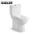 Import Strong flush ceramics bathroom toilet suite wc two piece CHEAP toilet with washdown system from China