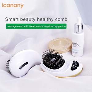 Strong Magnetic Therapy Personal Hair Care Nano Mist Rechargeable Vibration Massage Smart Beauty Comb