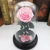 Sweet Preserved Rose Flower Gift Valentines Day Birthday Gifts Natural Dried Flowers Rose Present with Glass Cover