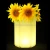 Import SX-5043-ICB Double Use LED Flower Vase and LED Ice Bucket / LED Home Decorative Lighting / LED Flower Pot from China
