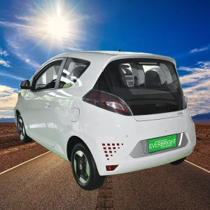 Taizhou Car green tour 4 wheel Everbright electric vehicle HS-Q4 with car electric car made in china panel electric car