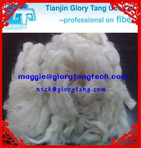 The best quality & price of scoured sheep wool /carpet wool fiber
