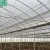 Import The Cheapest Agricultural Plastic Greenhouse Film from China