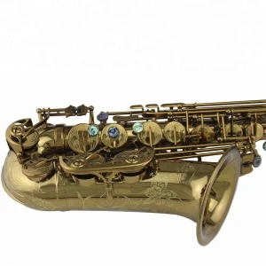Tide Music champion gold cognac alto saxophone R54 type