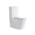 Import Toilet Brand Price Bathroom Ceramic One Flush Toilet from Singapore