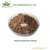 Import Top quality Reishi Mushroom extract for sale from China