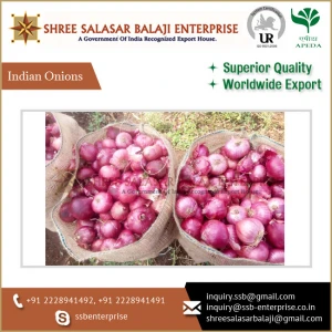 Top Quality Wholesale Fresh Onion from India at Lowest Price