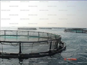 trout farming/seabass farming/seabream farming/sturgeon farming aquaculture floating cage