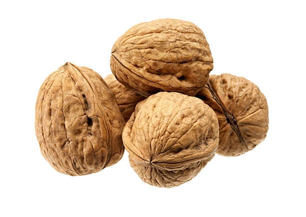Ukraine Fresh Whole Nuts Inshell Walnut