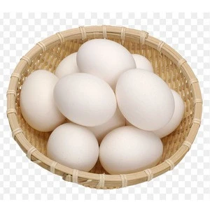 Ukraine Table White/Brown Egg for Sale