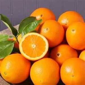 Valencia Fresh Orange Fresh Fruits/ Mandarins,Lemons,Apples