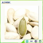 vegetable seeds different types of seeds pumpkin chimenea