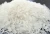 Import Vietnamese Jasmine White Rice (10% broken)/ jasmin rice from Vietnam