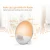 Import wake up light alarm clock,8 preset sounds and recording voice as alarm sound sunrise alarm clock with sunset simulation from China