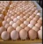 Import WHITE AND BROWN FRESH TABLE EGGS, HATCHING EGGS Price from Ukraine