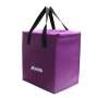 Wholesale customized brand top quality lunch collapsible insulated fancy cooler bag