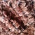 Import Wholesale embossed rose velboa minky pv plush fabric 100% polyester from China