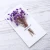 Import Wholesale fresh creative birthday Christmas card guarantee flowers dried flowers blessing greeting card from China