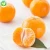 Import Wholesale Frozen Fresh Mandarin Orange from China