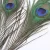 Import Wholesale Handmade High Quality Peacock Tails With Eyes Natural Peacock Feathers from China