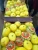 Import Wholesale high quality low price fresh citrus fruit yellow lemons from Morocco