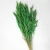 Import Wholesale Natural Dried Ripe Ear Flower Preserved Wheat for DIY Floral Arrangement from China