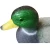 Import Wholesale Outdoor PE Mallard Duck Floater Decoy For Hunting Bait Pond Pool Decoration Manufacturer Supply from China
