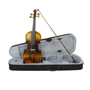 Wholesale price Professional Astonvilla  AV-E310 matte electro-acoustic EQ violin with jujube wood accessories,bow and box