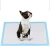 Import Wholesalers Disposable Puppy Pet Absorbent Dog Training Pee Pad Mat from China