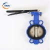 Worm Gear SS304/SS316 CF8M Midline Actuated Butterfly Valve with Pins